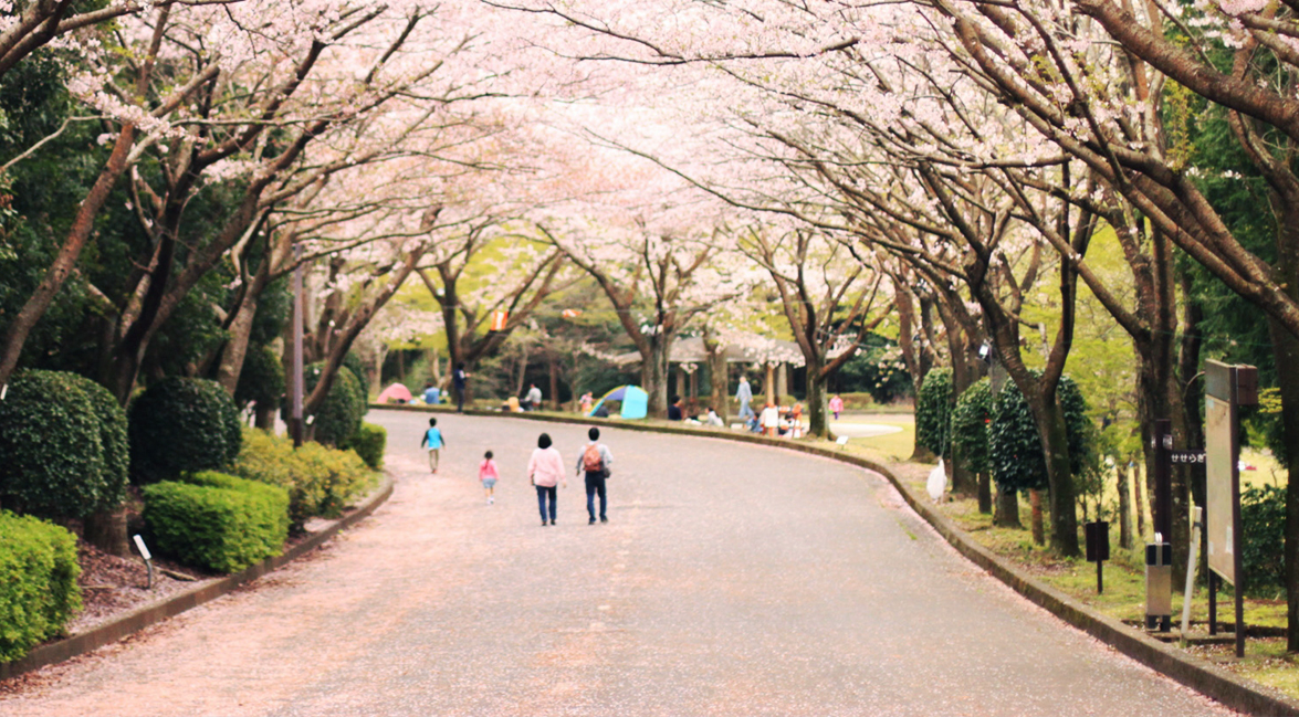 矢田建設