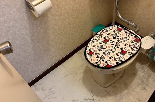 青葉区　賃貸洗面トイレ改修工事