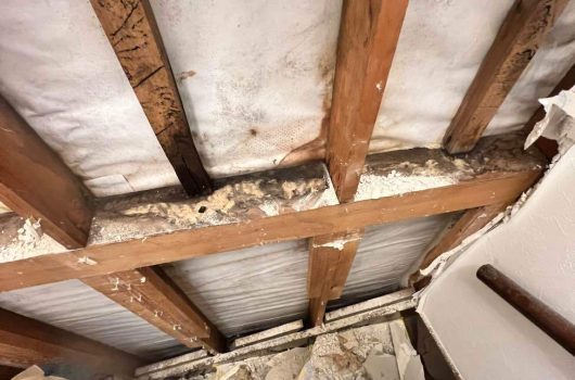 【横浜市青葉区N,S様邸】二世代同居のための全面改修と、執念で解決した雨漏り修理