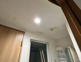 【賃貸マンション漏水】給湯管ピンホール修理から内装復旧まで、職人一人で即解決！