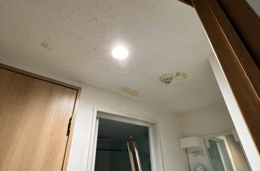 【賃貸マンション漏水】給湯管ピンホール修理から内装復旧まで、職人一人で即解決！