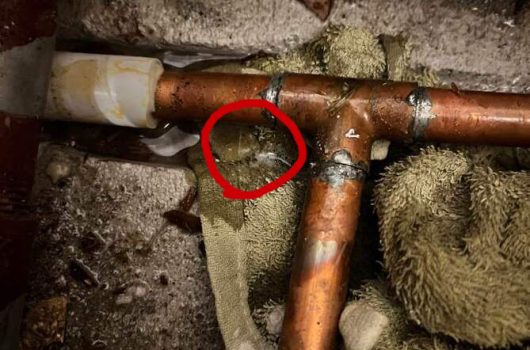 【賃貸マンション漏水】給湯管ピンホール修理から内装復旧まで、職人一人で即解決！